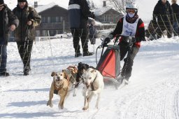 Lenk 2012 SM